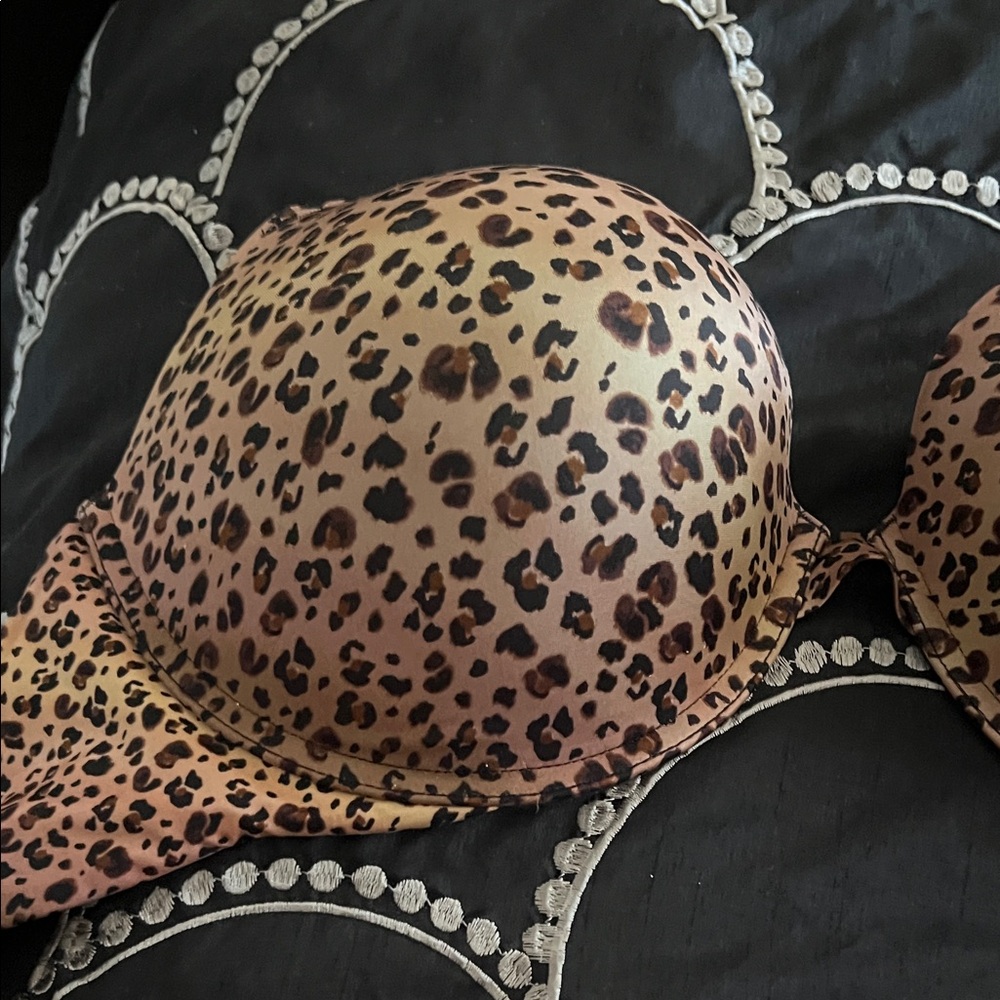 Leopard Print Bra - image 7